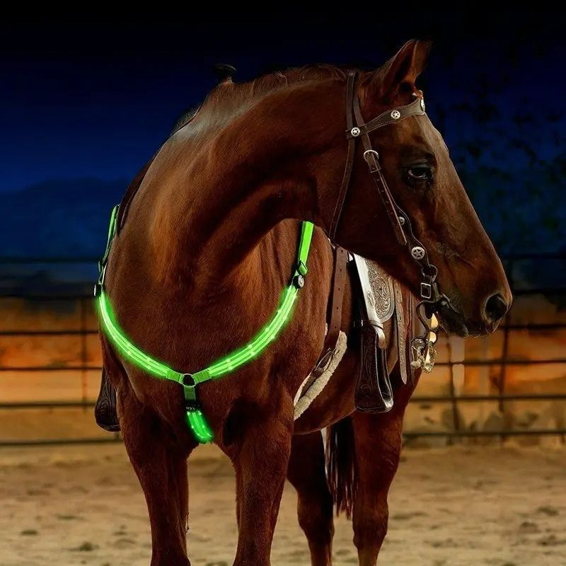 Hästbrösta med LED-ljus och justerbara remmar