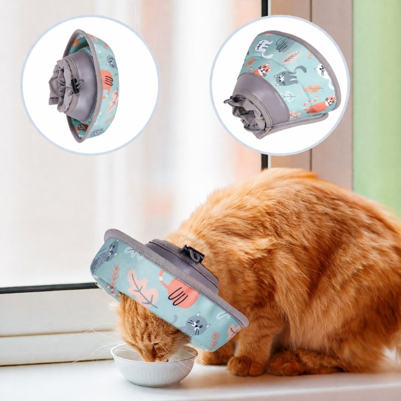 Justerbar skyddskrage för katt och små hundar