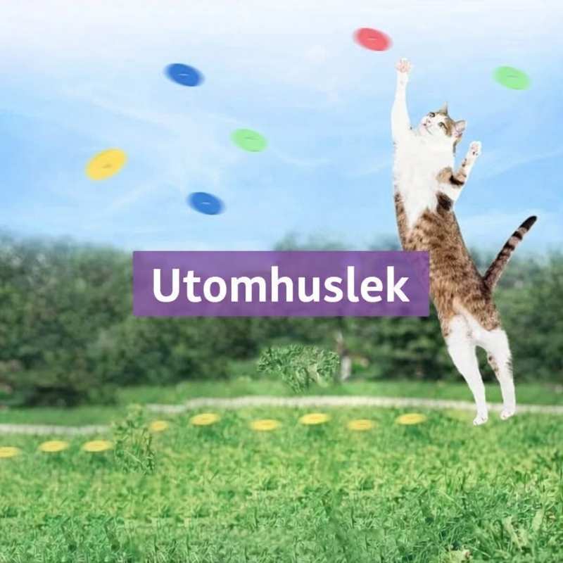 Rolig kattleksak med skjutbara skumskivor