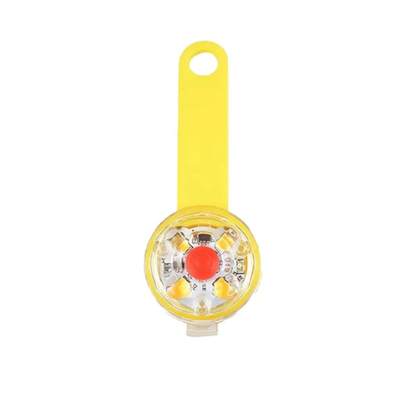 LED-lampa för hundhalsband – synlig i mörker