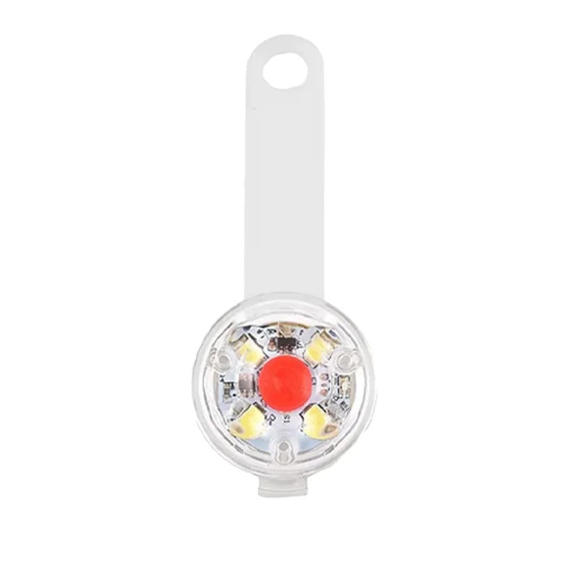 LED-lampa för hundhalsband – synlig i mörker