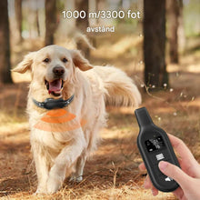 Elektrisk hundträningshalsband med fjärrkontroll
